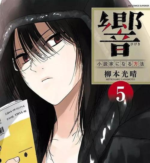 黄色小说动漫,揭秘黄色小说与动漫的隐秘世界