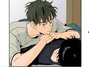 bl动漫在线观看