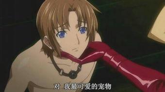 动漫艹,青春校园的奇幻冒险之旅